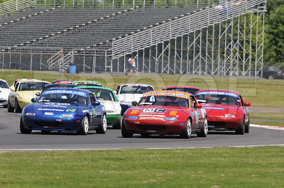 RoseCup10Sun_1551