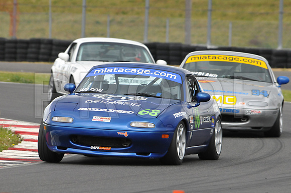 ORSCCA_7_2010_011