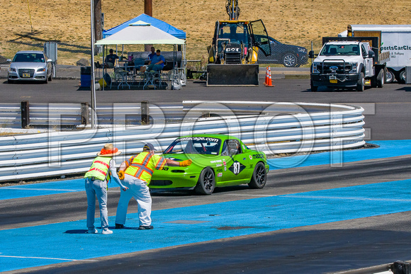 2024_Rose_Cup_Sun-by_Terry_Maupin-1461