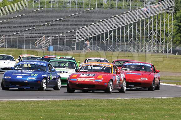 RoseCup10Sun_1552