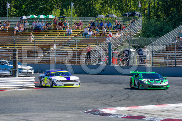 2024_Rose_Cup_Sun-by_Doug_Berger-4057